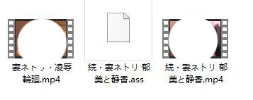 妻ネトリ・凌辱輪廻【里番】