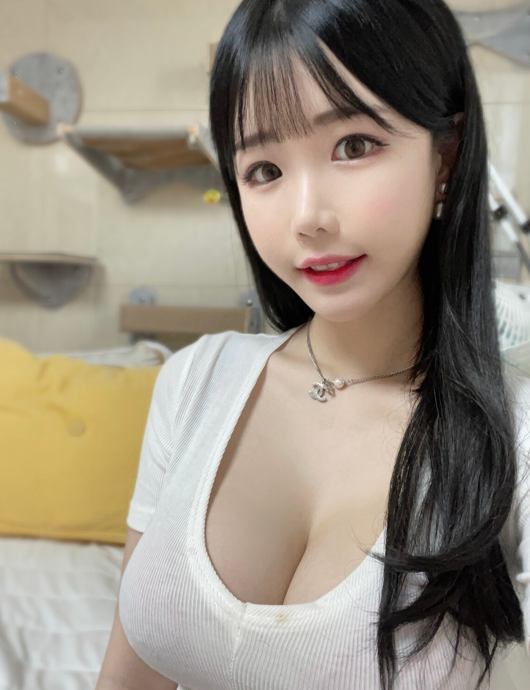 (补档)韩网极品网红巨乳女神写真整理393p+15v 6.91GB