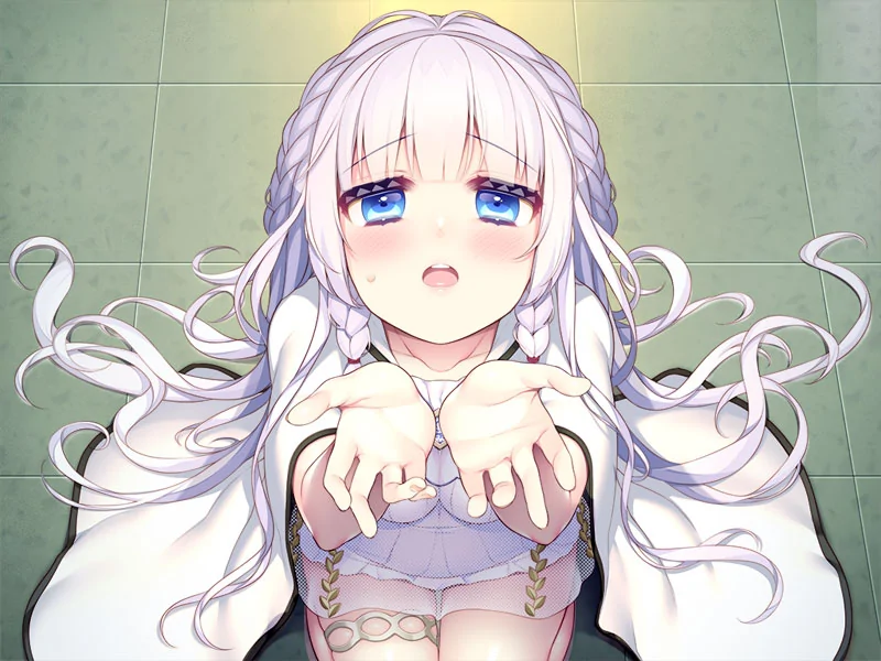 堕落的皇家圣处女【汉化硬盘版】
