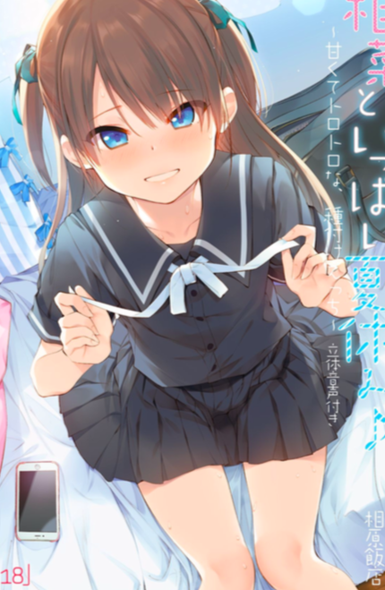 萝莉控 本子 893MB PDF