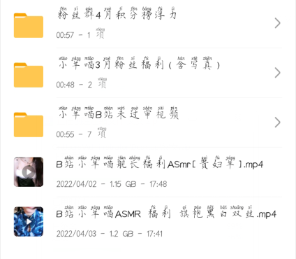 NO.50 (一补)B站小羊喵合集(原版含写真) 11G