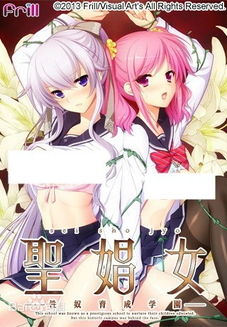 圣娼女-性奴育成学园-【汉化硬盘】
