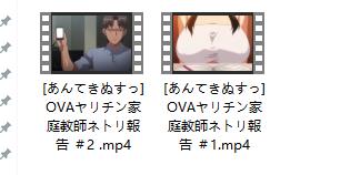 OVAヤリチン家庭教師ネトリ報告【里番】