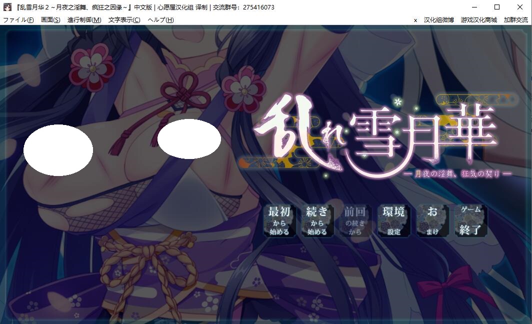 【汉化/PC/全CG】乱れ雪月華2