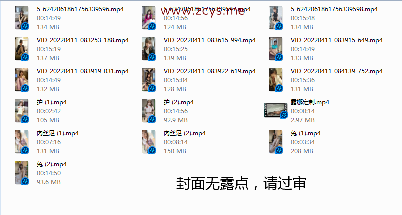 NO.82 斗鱼小女巫露娜丝足定制合集 16V