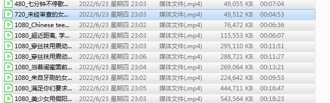 [自打包】(1)P站自慰合集10v2.24g
