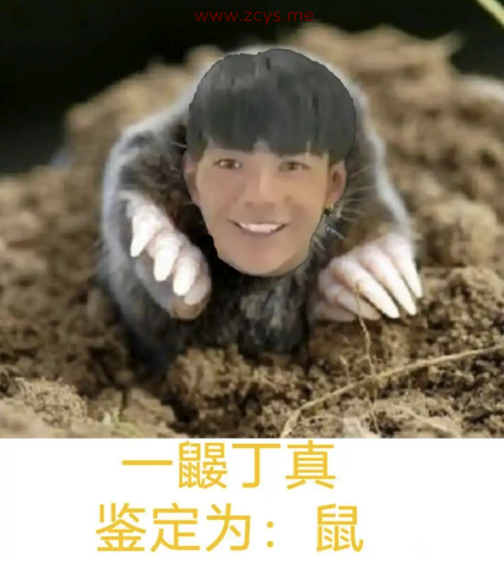个人顶级私房2500p【2574p 420mb】