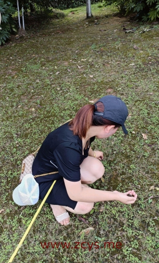 海角新晋牛逼小哥恋母少年-乱伦妈妈计划 704M