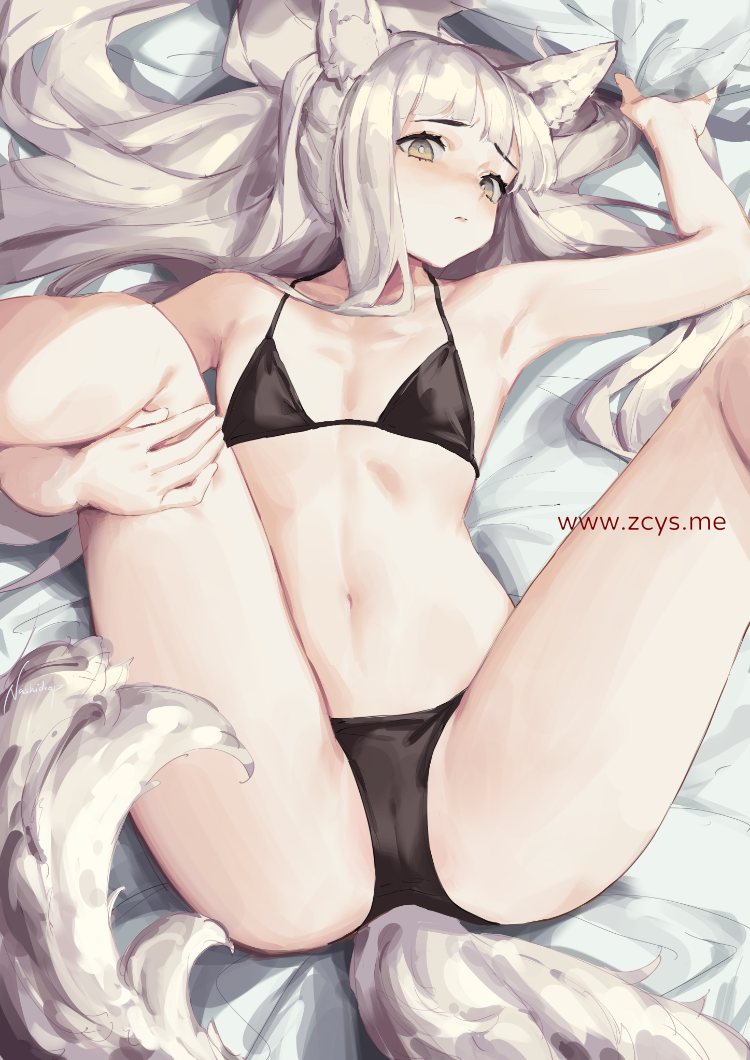 画师nashidrop patreon自购赞助图 952M