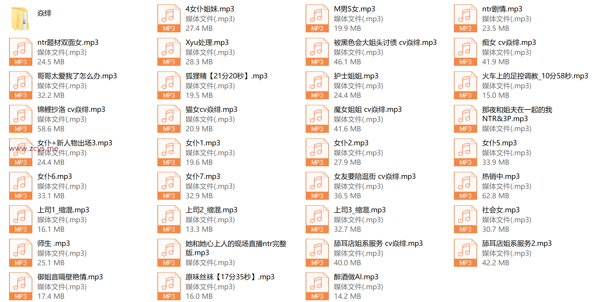 ASMR 焱绯音声 46v 1.53g
