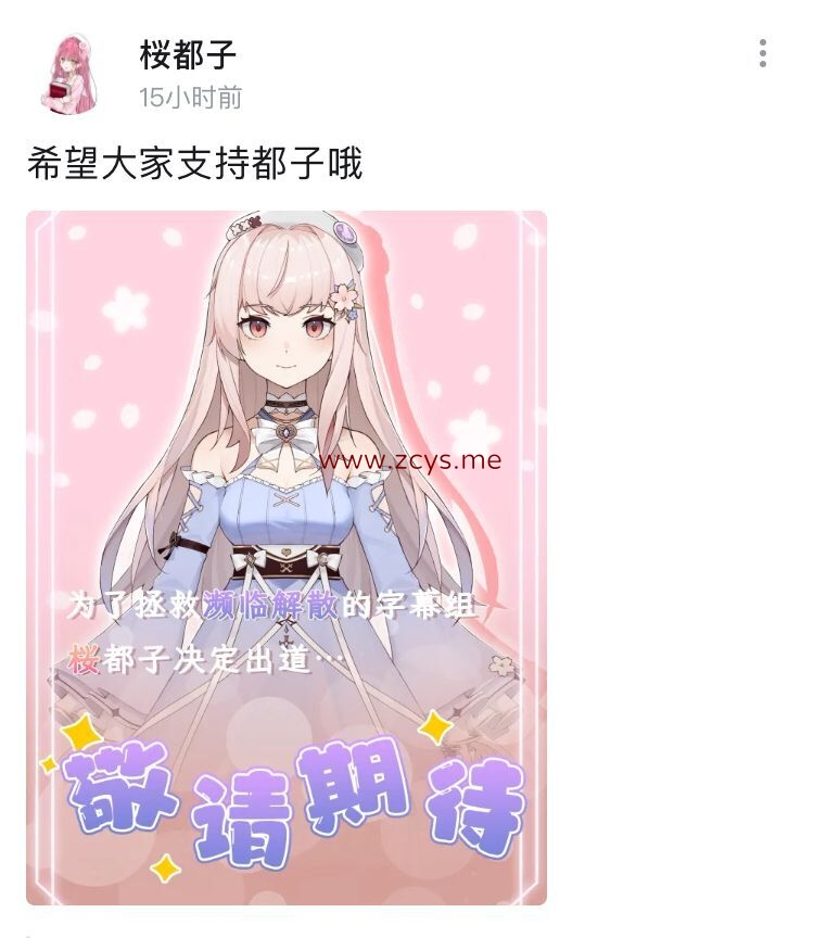 （3积分）兰斯1-10 附外传+动画4部