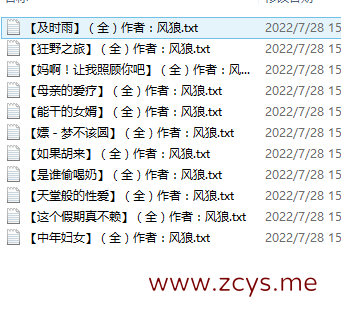 【自打包】小说贴-风狼作品合集(11本)