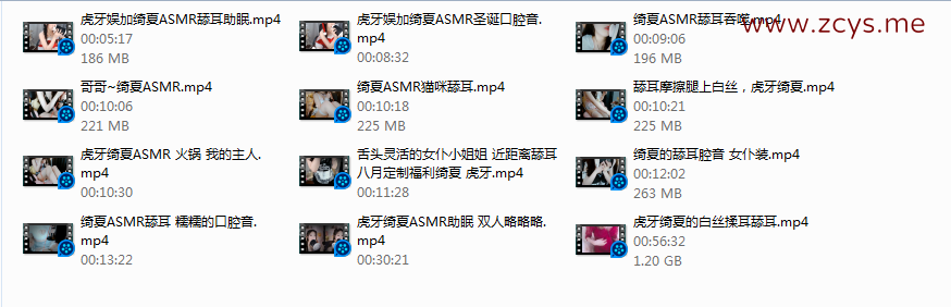 NO.111 虎牙绮夏合集2 12V