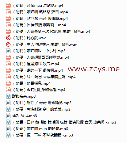 NO.106 B站喵羞舰长音频合集21部(非最新)