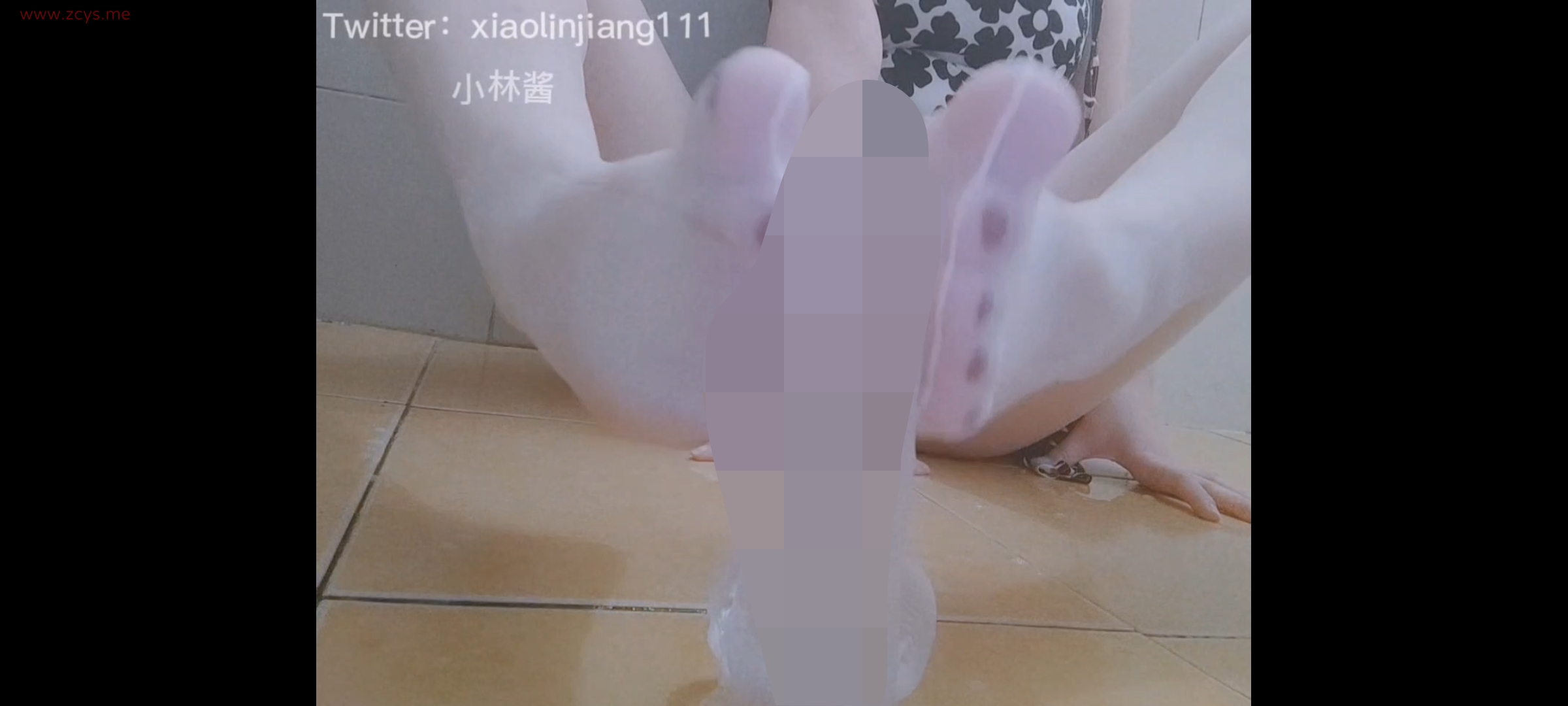 推特小林酱足控合集 [44v-+9.9g][百度盘]
