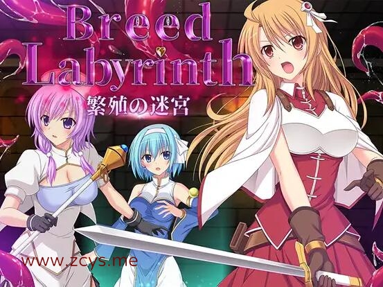 【PC+安卓/RPG/双端/云翻】繁殖の迷宮 Breed Labyrinth【700M/度盘】
