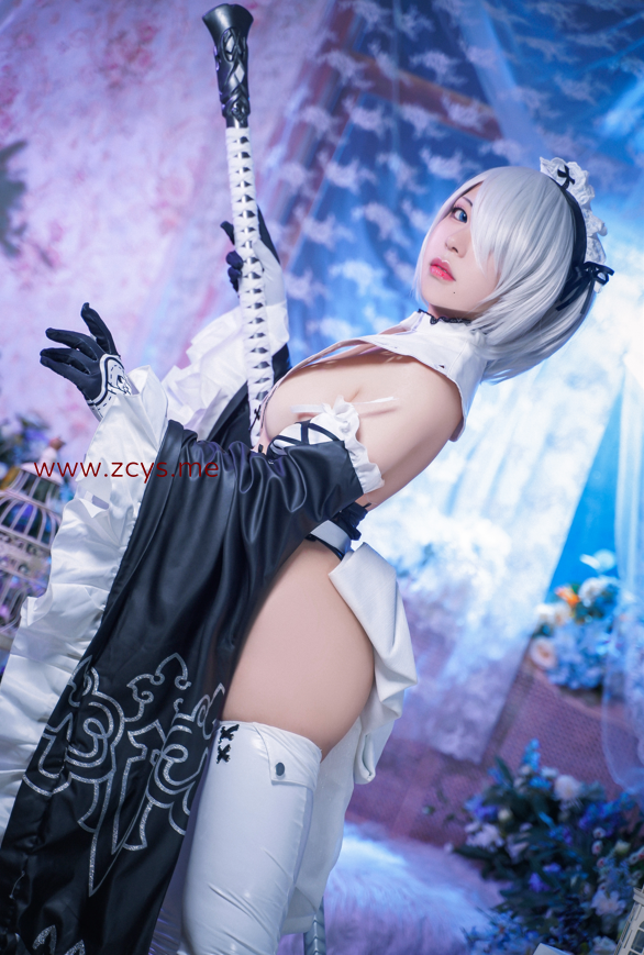 虎森森 - NO.04 2B女仆 【15P78M】