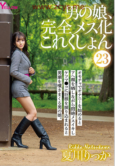 【自打包】精神污染第30弹-日本TS 夏川りっか-男の娘完全化23(1V,4.62G)