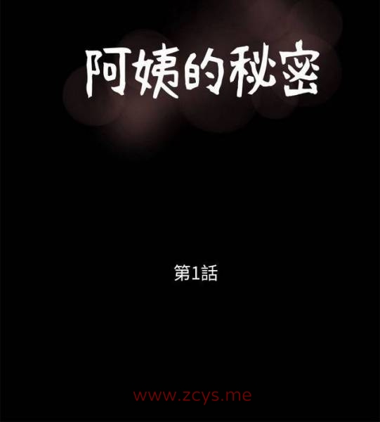 【全彩韩漫】阿姨的秘密 1-65(完结)PDF