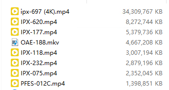 相澤南（相沢みなみ） 有码 8部高清合集 共60GB(分开压缩)