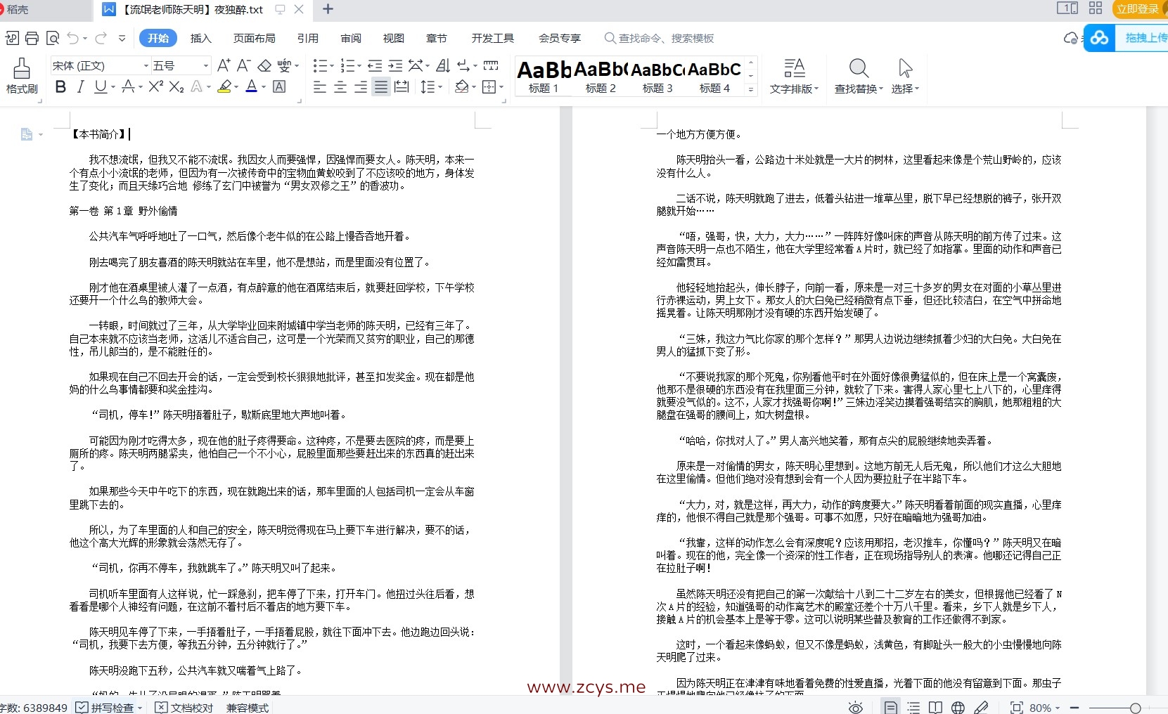 流氓老师陈天明全本2001章+后记 13M