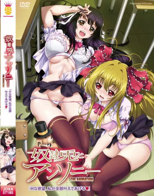 【本子+里番】奴隶兔