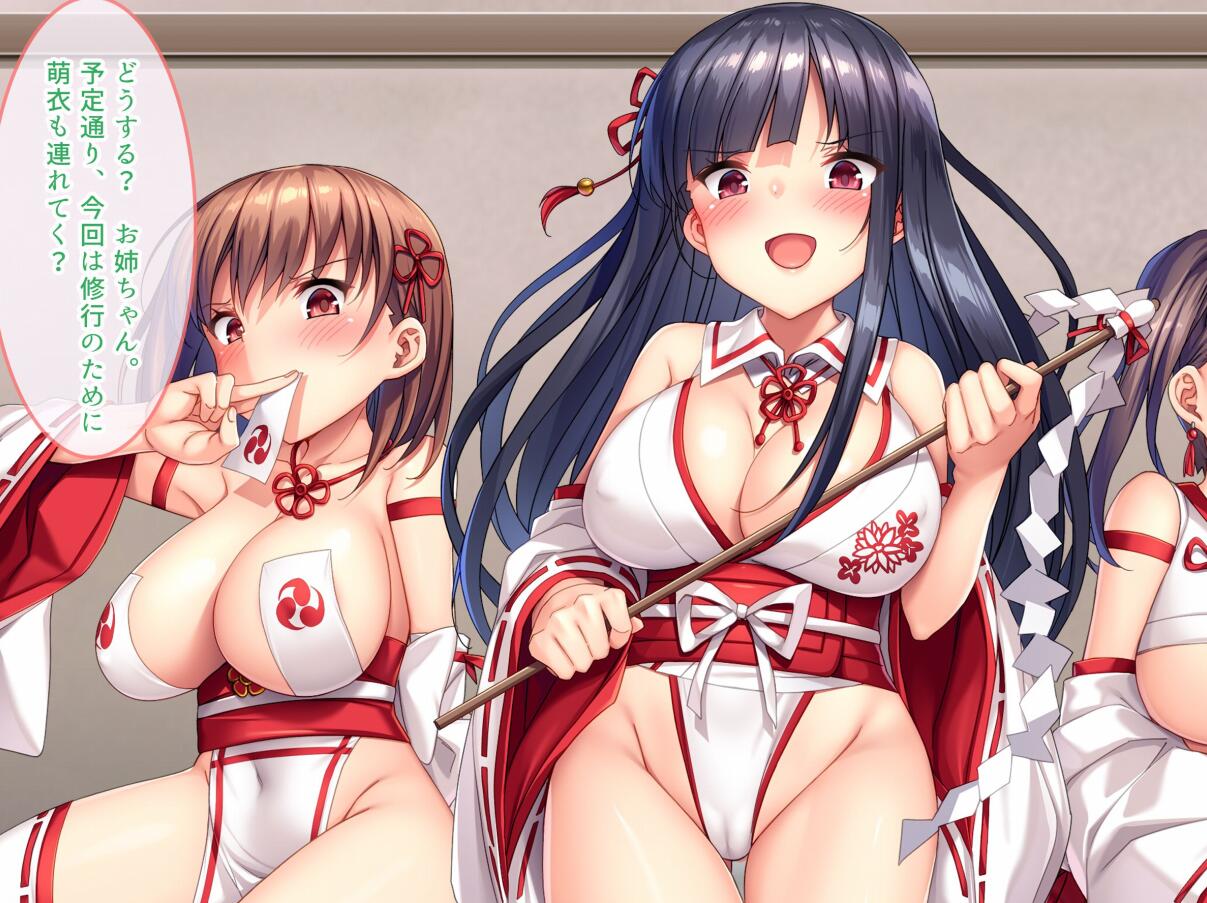 【CG】ヌキ巫女三姉妹の子宮に妊娠確定特濃ザーメン奉納!【654P/300M/度盘】