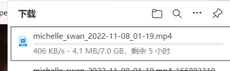 [自购][115SHA1]CB站主播michelle_swan_2022-11-08直播录屏[7.02G/1V]