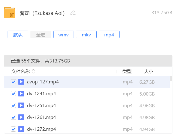 葵司（Tsukasa Aoi）合集（55V 313.7G）