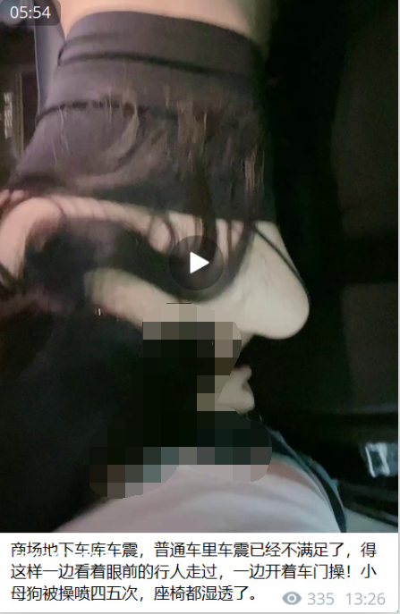 【自打包】推特超级调教大神-J神-调教绿帽癖女友视图(10P,1V,790M)