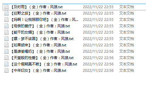 【自打包】小说贴-风狼作品合集（11本）