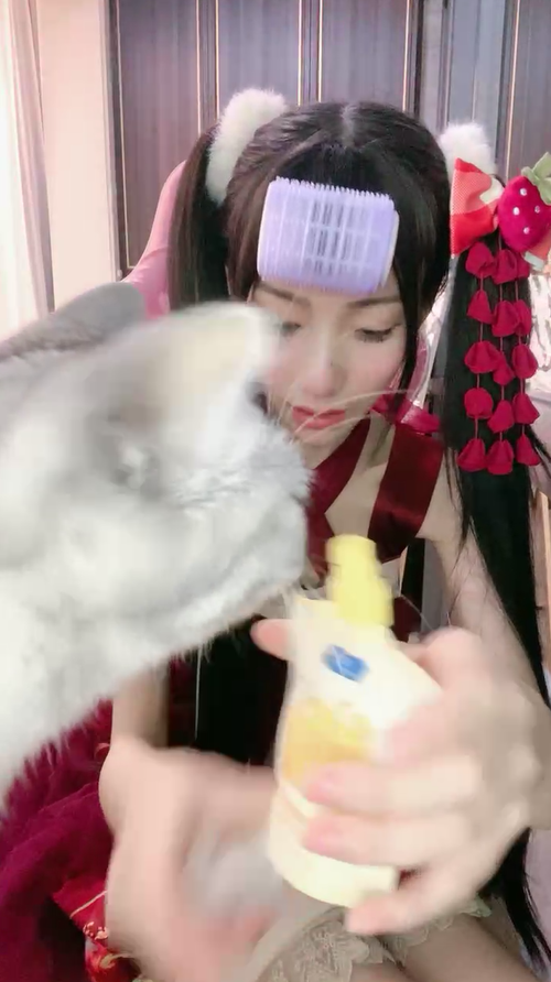 黎酱不爱吃青菜-双马尾红色萝群白丝 猫老爷不要抢镜头 1V3.05G