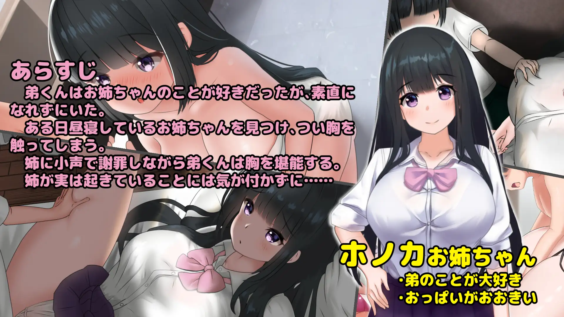 SLG 互动触摸 お姉ちゃんは弟くんに襲われたい!～Live2D V1.01 1.3G