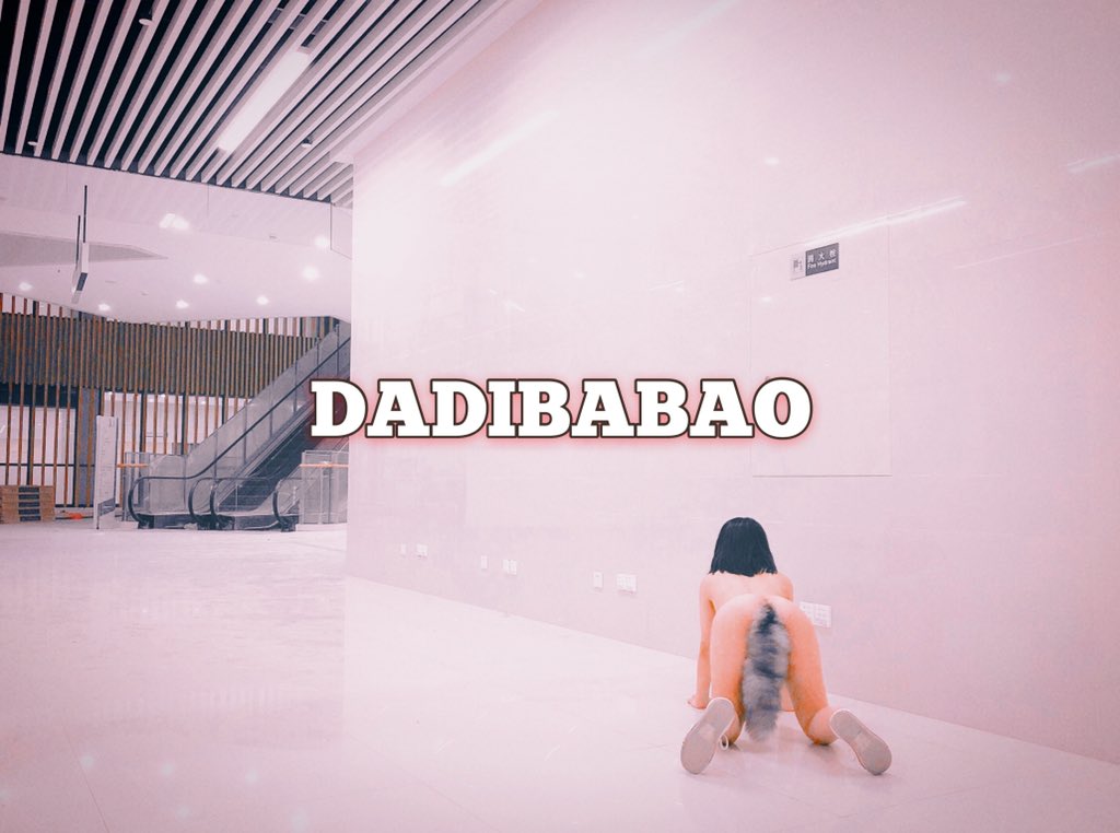 推特福利姬1-一只喔彩虹DADIBABAO等(126P+156V/833M)