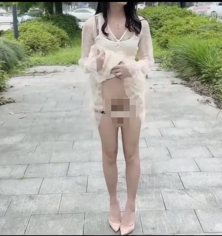 另类第69弹-国产TS 漂亮的北北-小合集2（4V,70M）