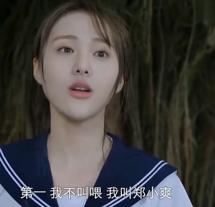 AI换脸郑爽一起来看流星雨H版第一季 137.9MB