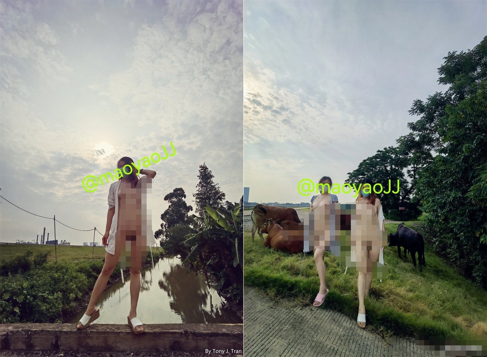 推特户外露出女神【会瑜伽的猫@maoyaoJJ】大尺度视图福利-强悍极限露出反差骚母狗【127P_54V_354M】