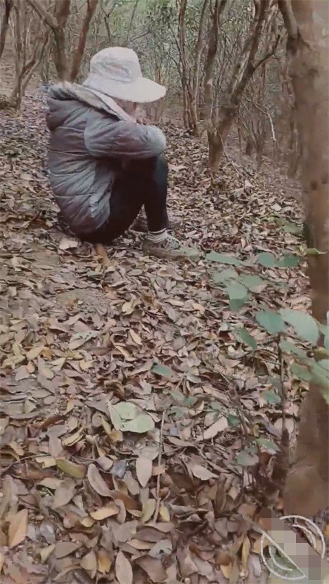 母子乱伦- 南方母子- 终于找到机会和妈妈上山干活打野战 开始非常抗拒怕别人看到 扶着小树后入爆操真滋味 201M