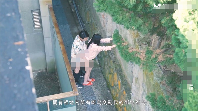 野性新人类 MD-0170-2 红粉知己的温柔抽插 931M