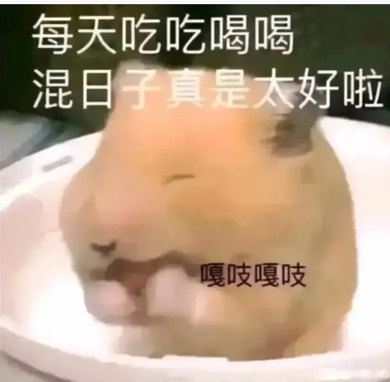 转载/脸红Dearie，40套！+微密圈+小蓝鸟+微博，全整合/秒传，不会先别买了去学一下。
