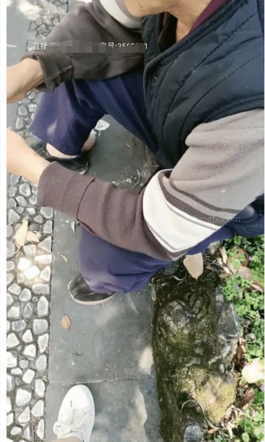 饱满巨乳-被情伤过的女人：公园勾搭大爷、帅哥，可惜胆子太小，少妇郁郁而疾。勾引对话激情！ 374M