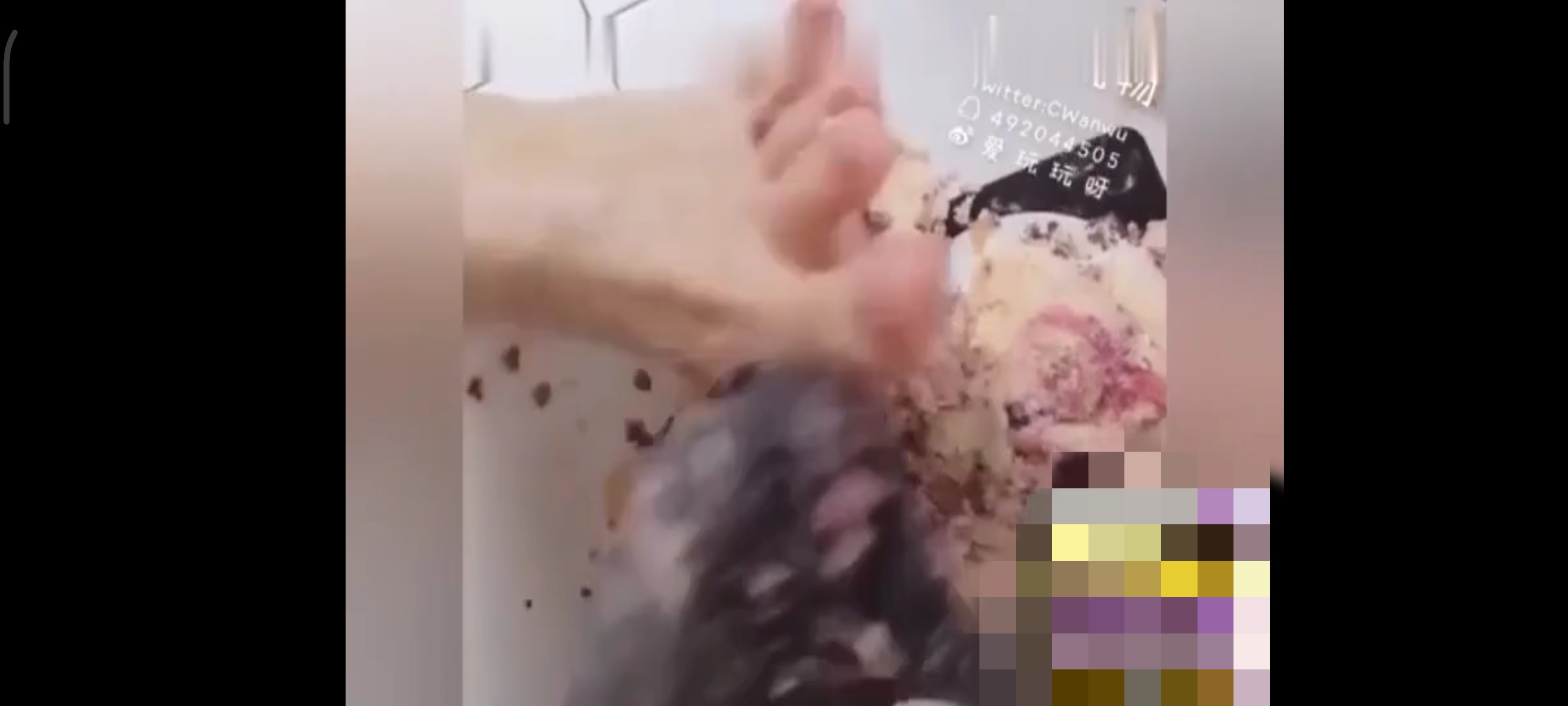 脚艺人踩蛋糕