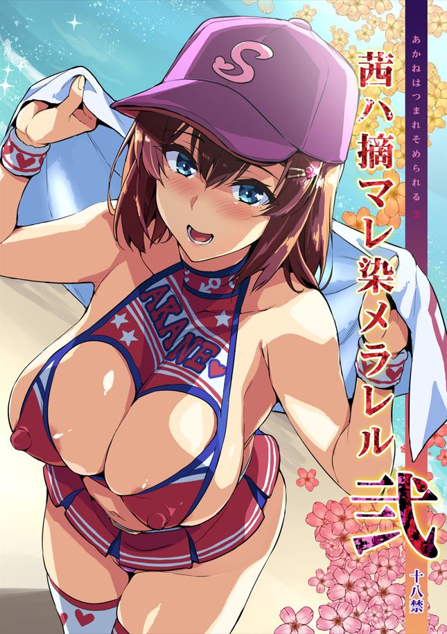 武田弘光 本子合集