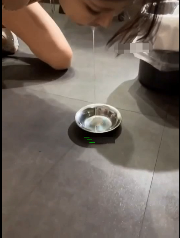韩国BJ超美女神-Haerni-付费大尺度无码版小合集(7P,2V,79M)