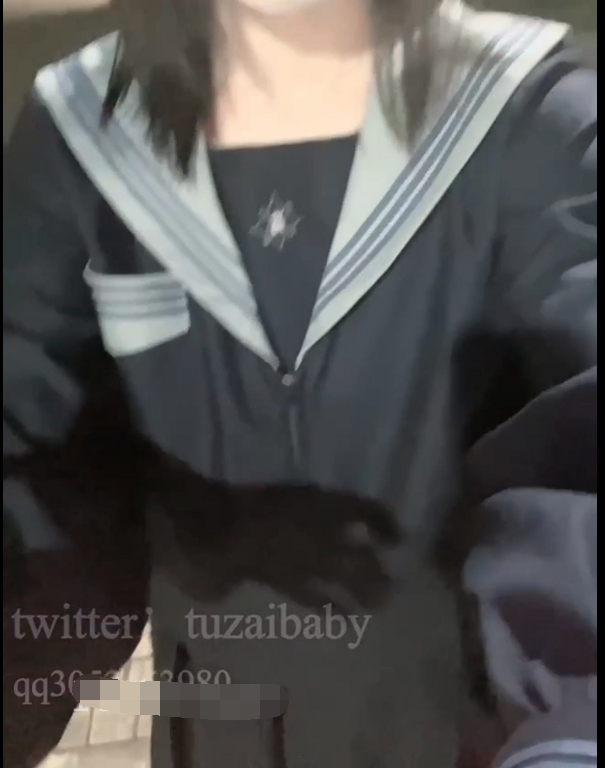 福利姬-tuzaibaby-jk马路露出（1V,452M）