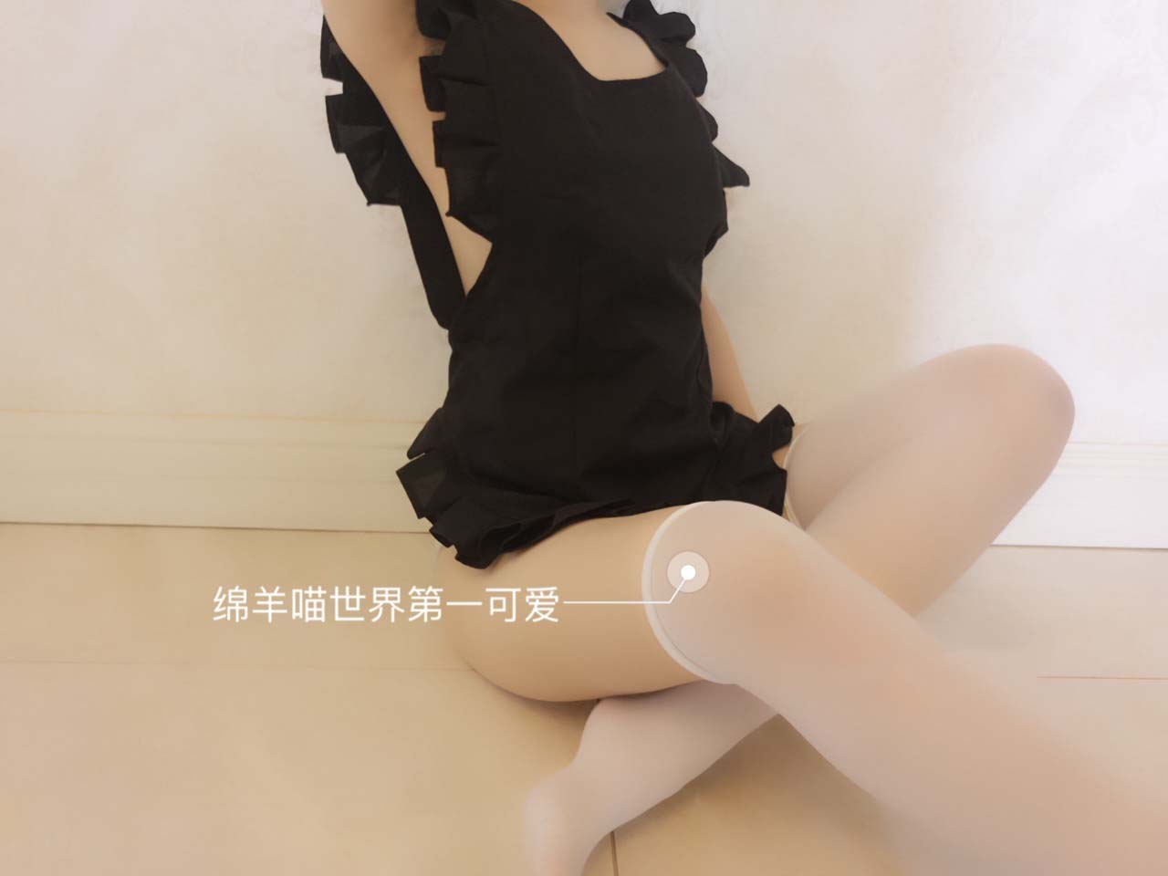 古早福利姬绵羊喵自行打包合集【23V+343P】【383mb百度云】