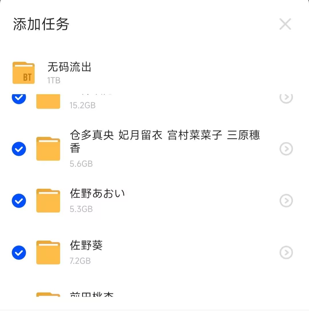 无码流出1T