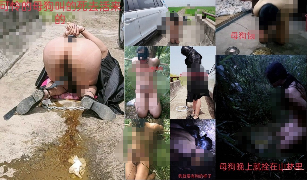 内容非常垂直-定位苏州猎奇圈名气真实调教大神【锁主】调教母狗记录贞操带电击马路灌肠喷水大哭屎都飞出来了 612M