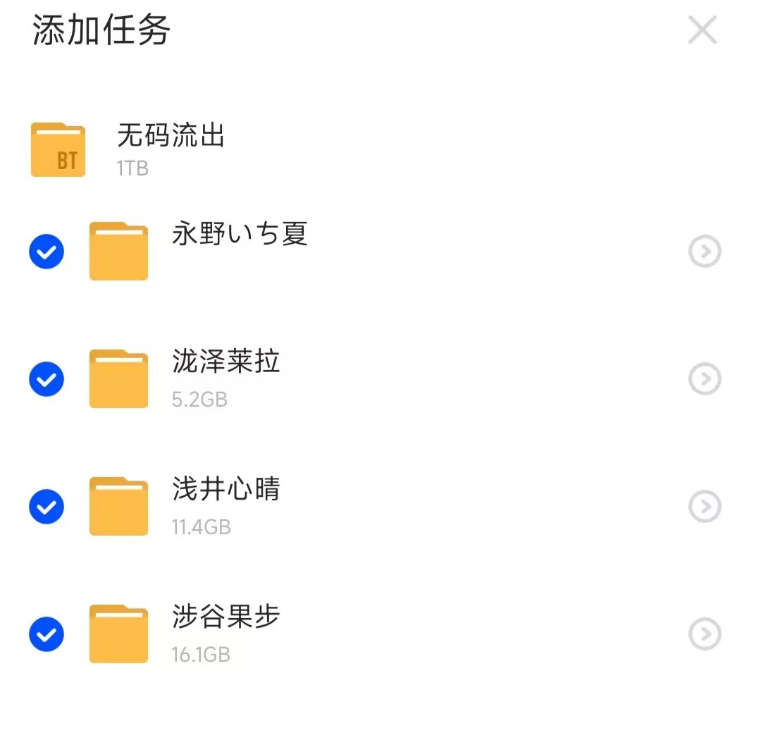 无码流出1T