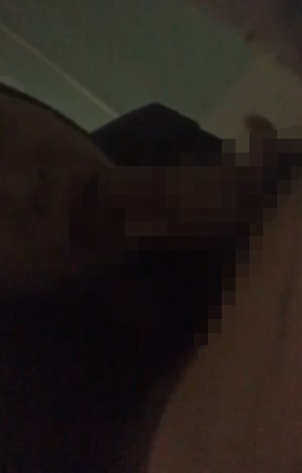 另类311弹-国产TS 李诗诗-小合集(11V,163M)